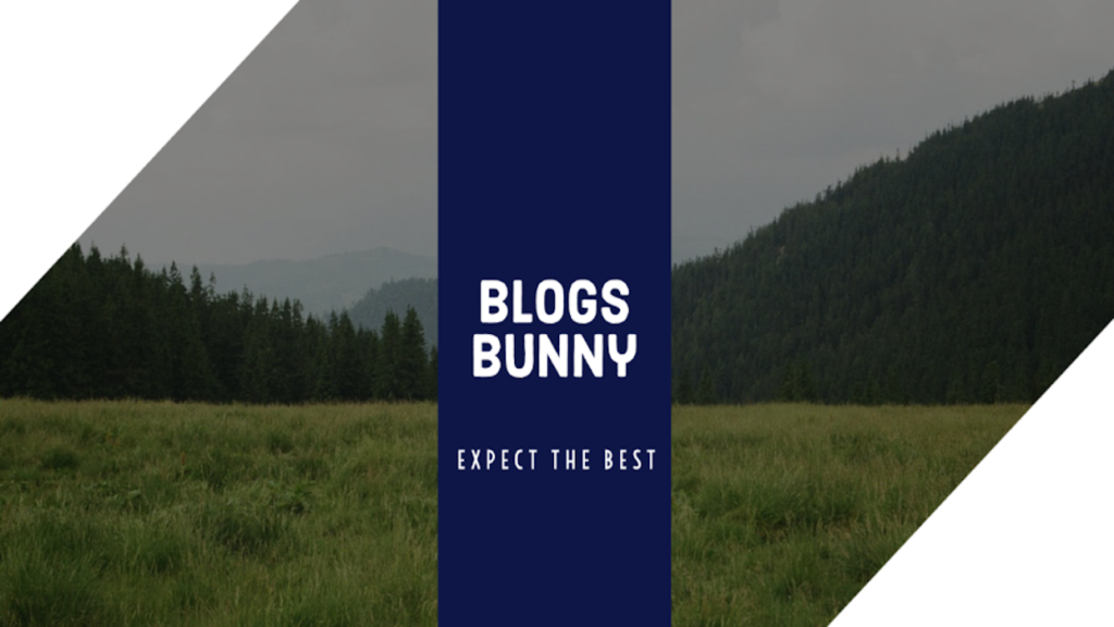 BlogsBunny Review