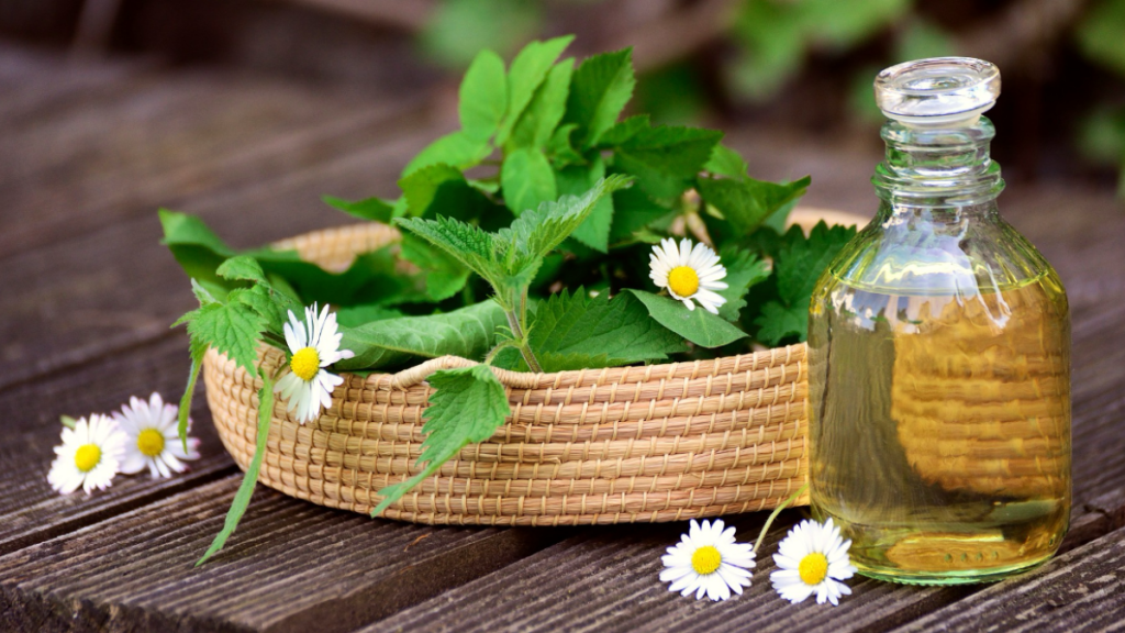 Herbal Remedies Grow Your Own Healing Garden at Home in Singapore